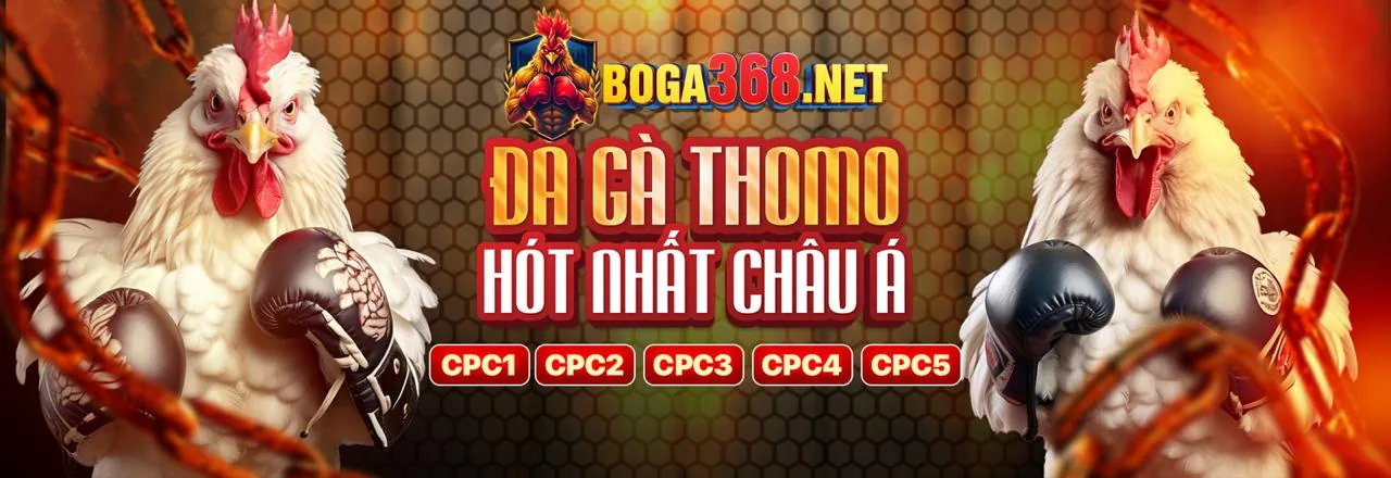 Đá Gà Trực Tuyến BONGVIP